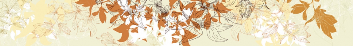 skinali 2272